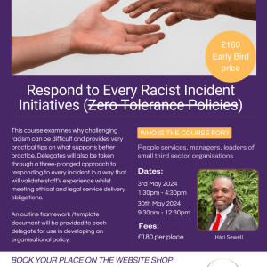 Respond to Every Racist Incident Initiatives
